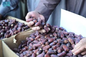 دليل الزائر: استكشاف سوق التمور في العُلا
