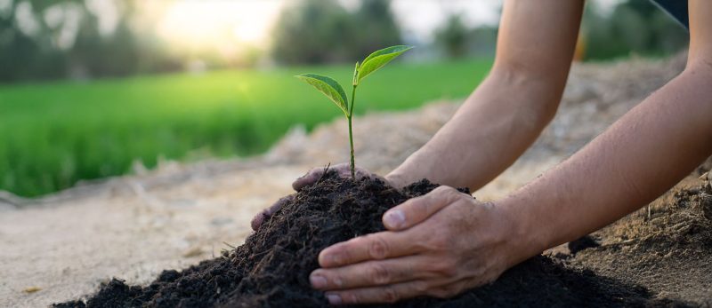 أسبوع البيئة: دور برنامج التحول الوطني في تحقيق الاستدامة 2025