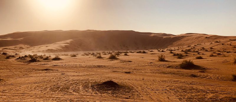 منطقة القصيم: من الموقع إلى التقاليد