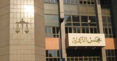 تسوية معاش الأجر المتغير وقرار المحكمة