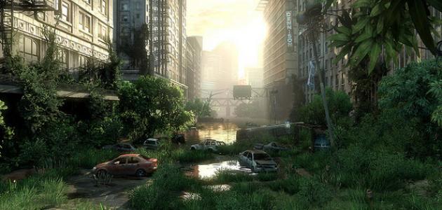 تنفس النبات