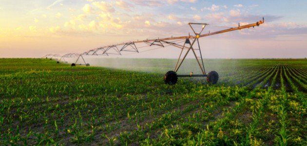 مستقبل الفلاحة: التقنيات الحديثة تقود التغيير