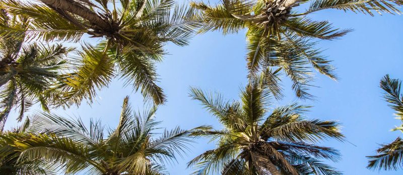 شاليهات جازان: لحجز إقامتك المثالية