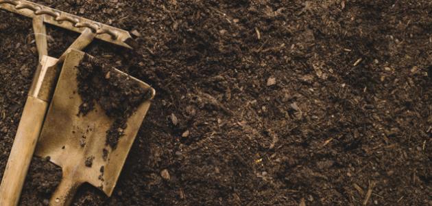 العناية بالتربة: استراتيجيات فعالة لتحسين صحة التربة