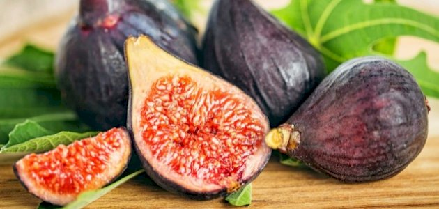 دليلك لزراعة التين في المنزل
