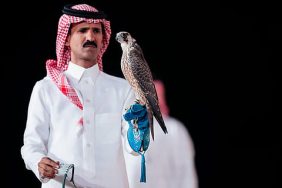 مستقبل الصقارة: تحليل نجاحات مزادات الصقور السعودية الأخيرة