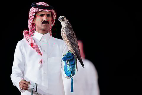 مستقبل الصقارة: تحليل نجاحات مزادات الصقور السعودية الأخيرة