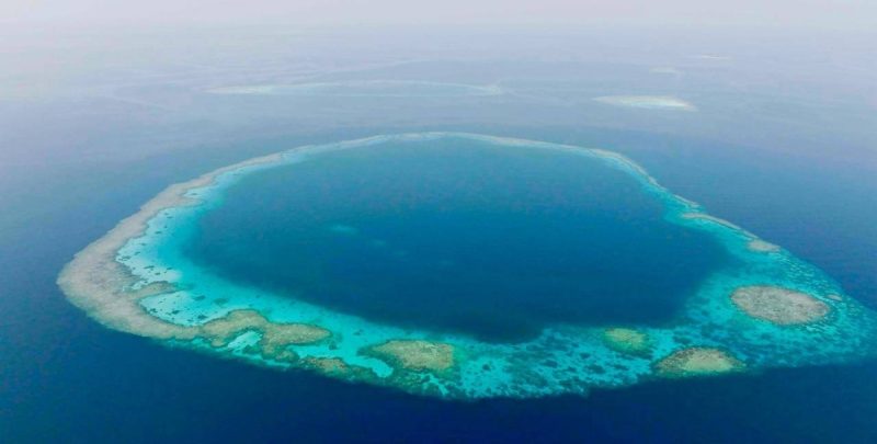المحميات الطبيعية: مستقبل الاستدامة البيئية في المملكة