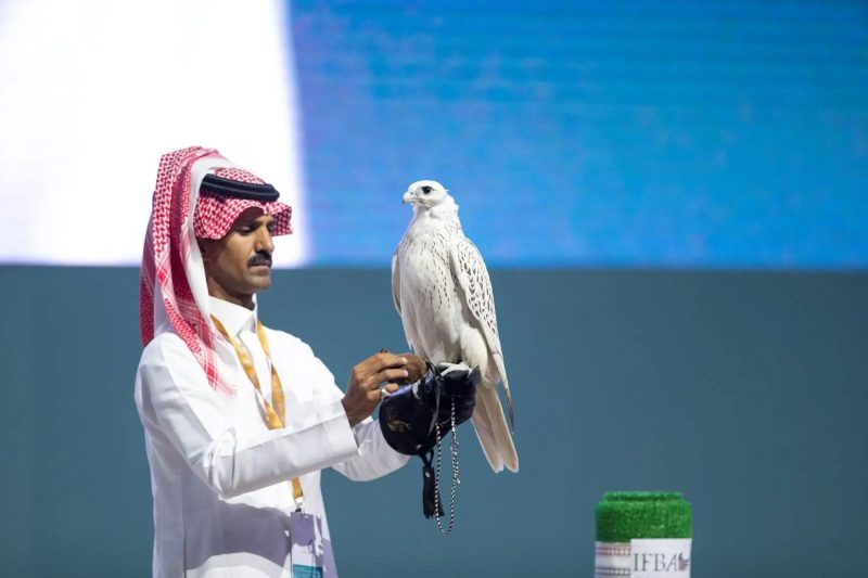 منصات مزادات الصقور