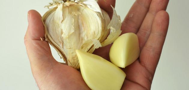 تعزيز صحتك بفوائد الثوم: للاستهلاك الصحي