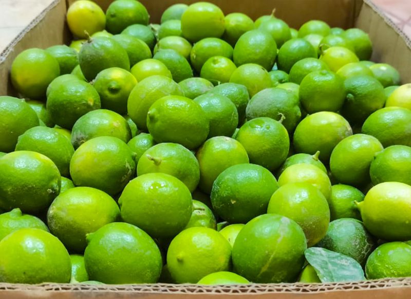 الليمون الحساوي: رمز الجودة والابتكار في المنتجات الزراعية السعودية