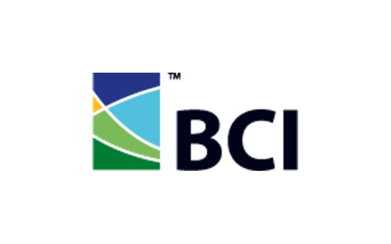 أداء الصناعات الكيميائية: تحليل مالي لشركة BCI