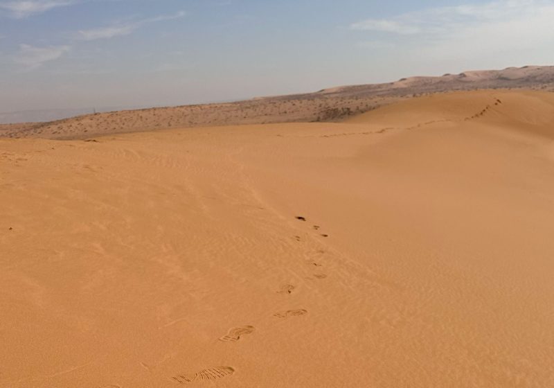 قصاصو الأثر: مستقبل المهنة في ظل التطور التكنولوجي