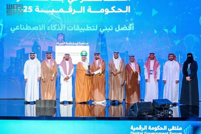 الابتكار يتألق في جوائز الحكومة الرقمية لعام 2025