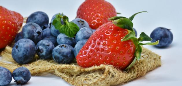 أشجار الفاكهة سريعة النمو: دليل المبتدئين