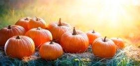 تفسير الأحلام: رؤية اليقطين