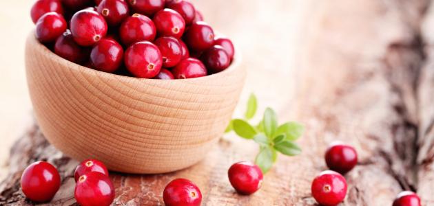 أفضل أنواع التوت البري للزراعة في مناخ السعودية