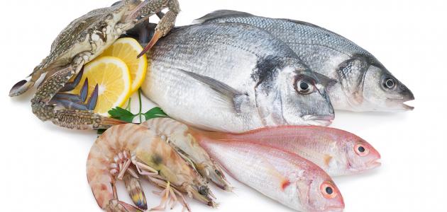 الدليل الكامل في تفسير الأحلام: رؤية السمك في المنام