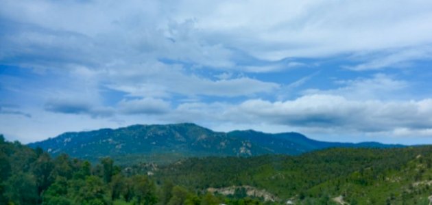 الغطاء النباتي: أساس التوازن البيئي وأهميته للإنسان والحيوان