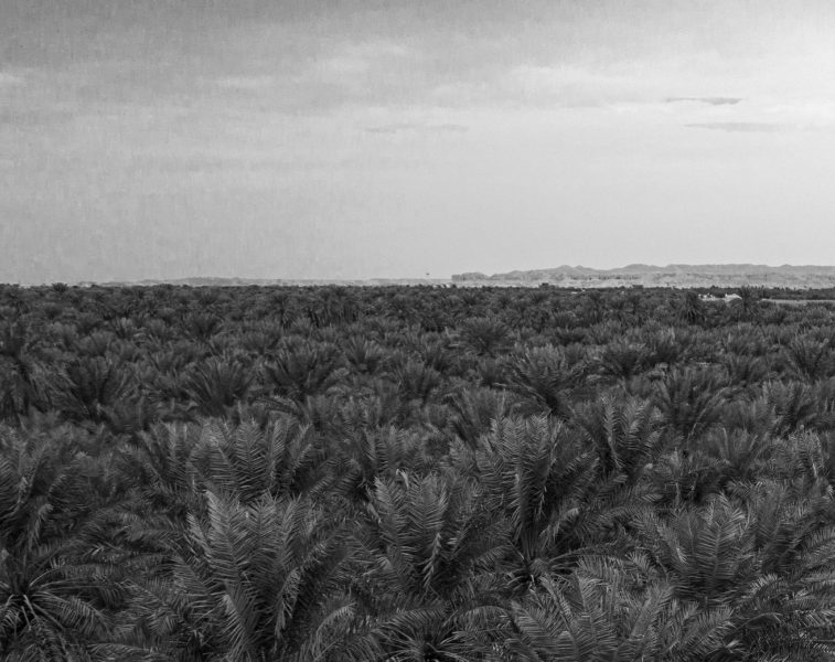 أحمد بن علي بن مشرف: قاضيًا وعالمًا وشاعرًا