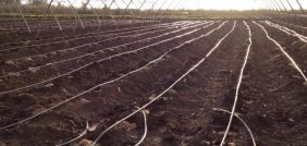 الري بالتنقيط: استثمر في المستقبل الزراعي المستدام