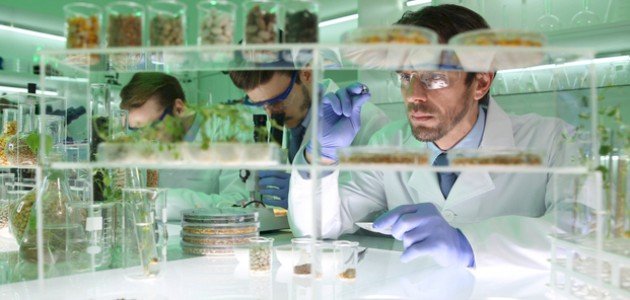 كل ما تريد معرفته عن تقنيات التعقيم في زراعة الأنسجة النباتية