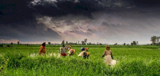 أثر الإنتاج الزراعي في مصر على المجتمعات الريفية