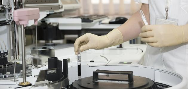 الأنسجة الوعائية في النباتات: دليل شامل