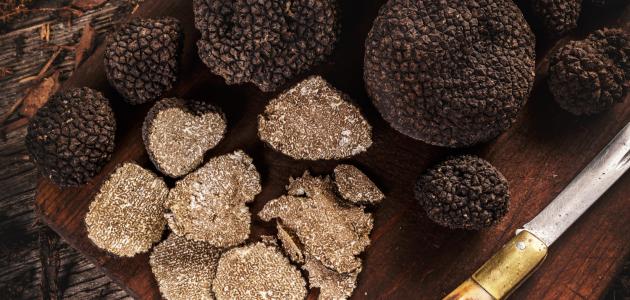 الكمأة: تعرف على أنواعها واستخداماتها في المطبخ السعودي