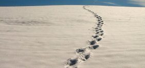 الثلج في المنام: تفسير الأحلام بين الواقع والخيال