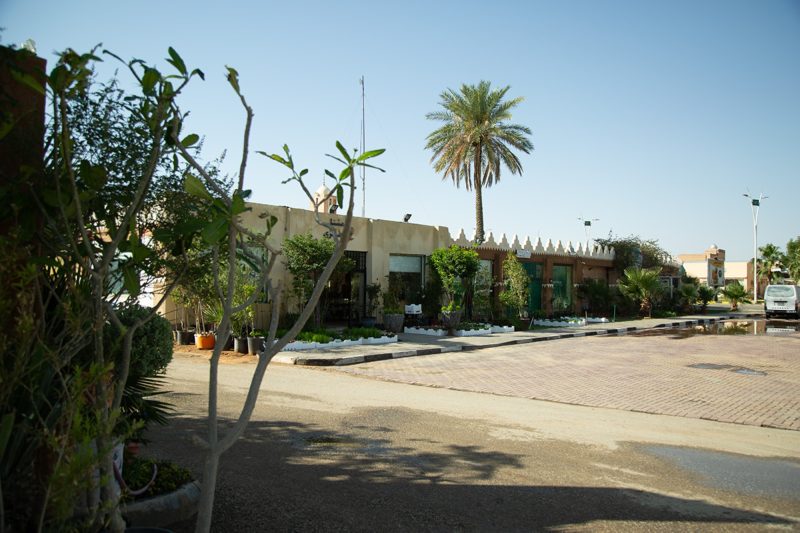 المشاتل في السعودية: نحو اكتفاء ذاتي من النباتات