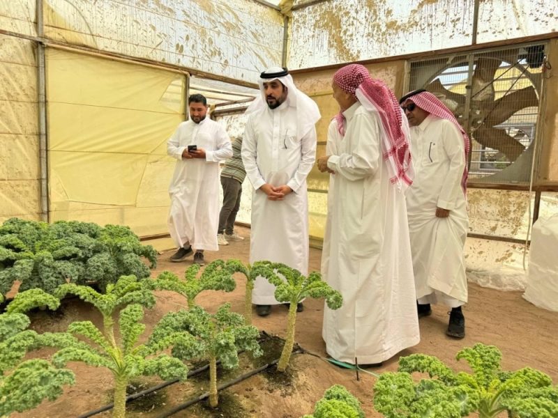 المدينة المنورة تزرع المستقبل: ازدهار الزراعة العضوية