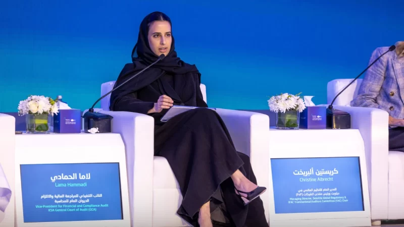 الرقابة المالية: نحو قطاع عام أكثر كفاءة وفعالية