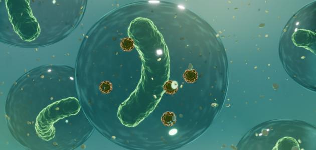 الأشنات: حماة البيئة الصامتون