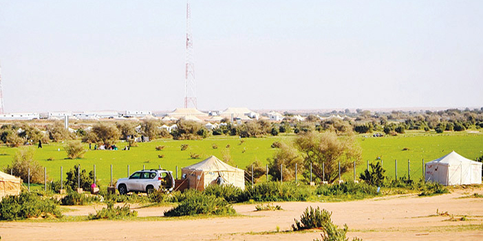 روضة التنهات: واحة الرياض الخضراء في الصحراء