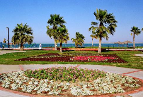 أفضل 5 منتزهات في الجبيل يجب زيارتها