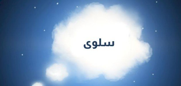 تفسير اسم سلوى: كل ما يجب أن تعرفه عن هذا الاسم الجميل