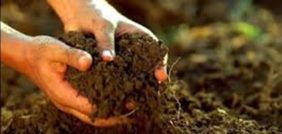 التربة: كيف تؤثر جودتها على صحة الإنسان والبيئة؟