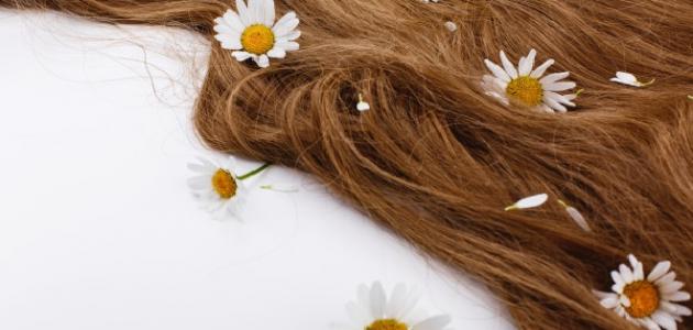 تفسير رؤيا الشعر الطويل: بين السعادة والهموم في المنام