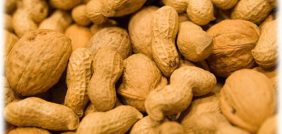 كل ما تحتاج لمعرفته عن زراعة الفول السوداني