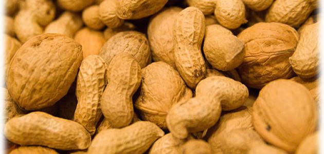 كل ما تحتاج لمعرفته عن زراعة الفول السوداني