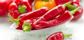 زراعة الفلفل في السعودية: دليل شامل للمناخ المحلي