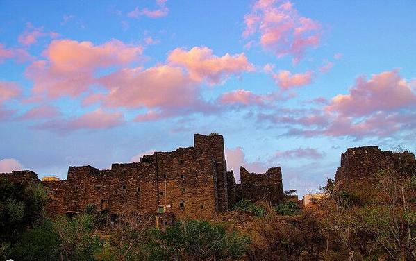 المنصة الثقافية الرقمية: كل ما تحتاج معرفته عن هذه المنصة الرائدة