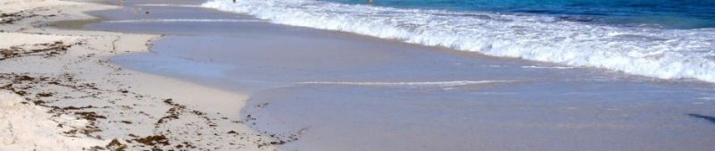 شاطئ نصف القمر: وجهة سياحية متكاملة في قلب الخبر