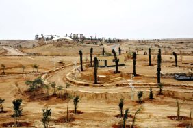 متنزه الملك سلمان البري: كل ما تحتاج معرفته قبل زيارتك