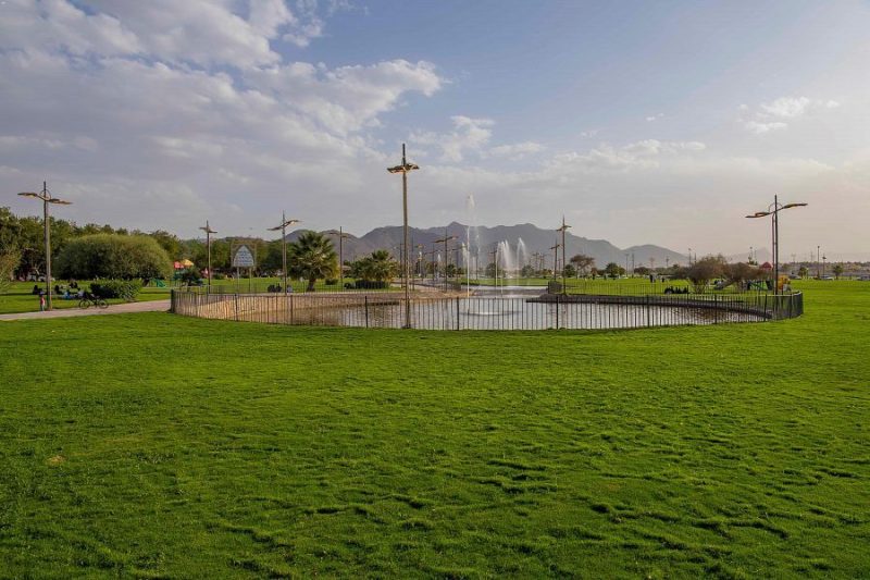 أفضل الأنشطة الترفيهية في منتزه الملك فهد الوطني