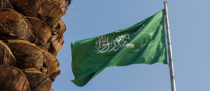 أسرار محمية عروق بني معارض: اكتشف الحياة البرية