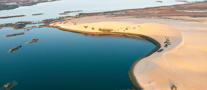الأحساء: جمال بحيرة الأصفر وتأثيرها البيئي