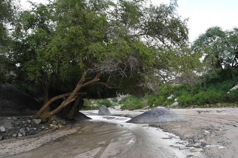 السياحة في جازان: وادي رزان.. تجربة لا تُنسى