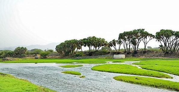 لماذا تعد أودية جازان وجهتك القادمة للاستمتاع بالطبيعة؟